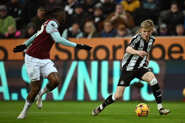 栖砂岩团队 栖砂岩团队