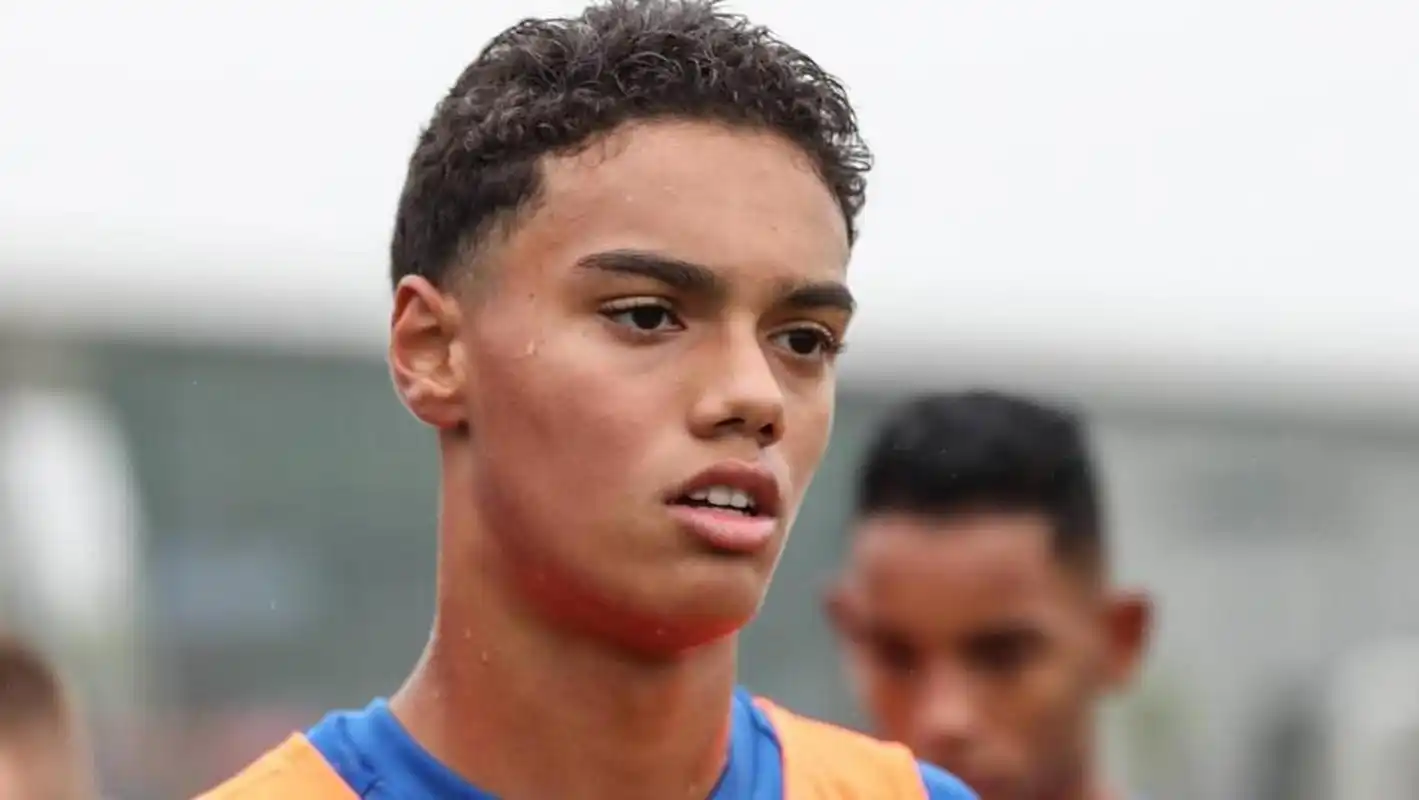 入并非单纯 入并非单纯