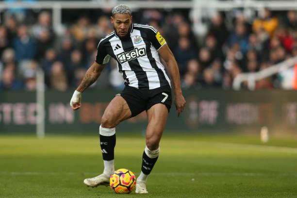 亲友的好奇 亲友的好奇